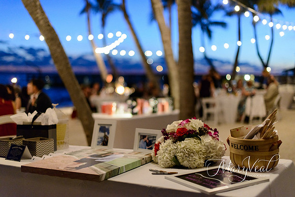 Danielle and Christopher's wedding-98