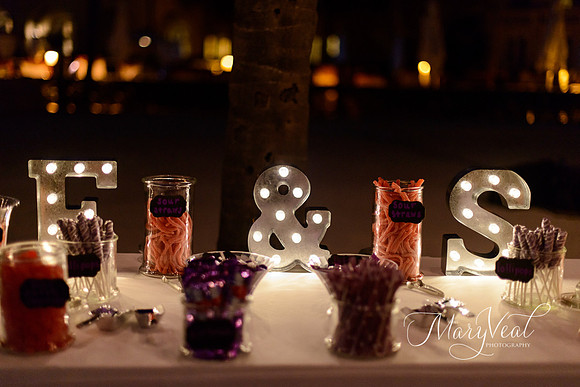 Danielle and Christopher's wedding-96