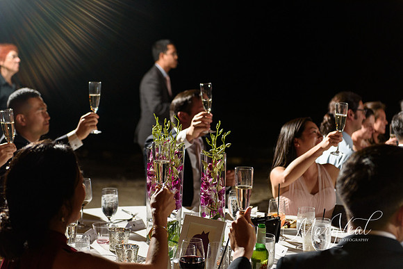 Danielle and Christopher's wedding-111
