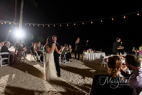 Danielle and Christopher's wedding-112