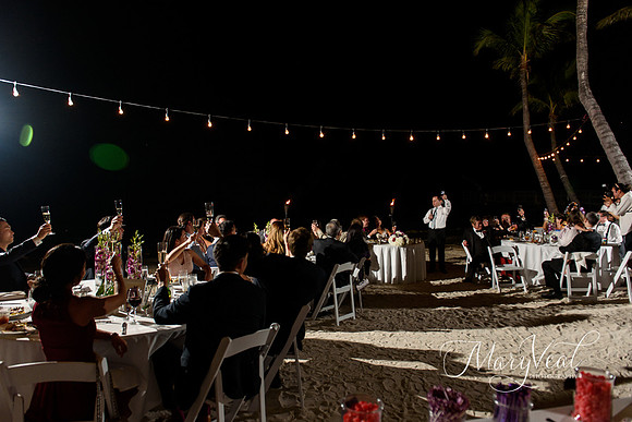 Danielle and Christopher's wedding-110