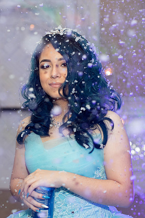 Priscilla Castro Quinceanera-121
