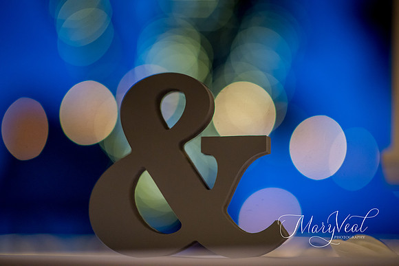 Mary Veal Photography-152