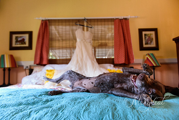 Mary Veal Photography-141