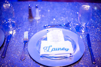 Priscilla Castro Quinceanera-20