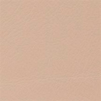 Leather ~ Blush