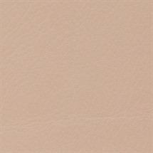 Leather ~ Blush