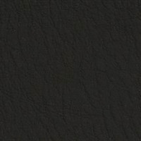 Leather ~ Nightfall