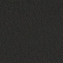 Leather ~ Nightfall
