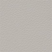 Leather ~ Mist