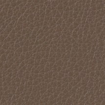 Leather ~ Peppercorn