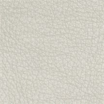 Pearlescent Leather ~ Quartz