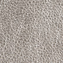 Metallic Leather ~ Platinum