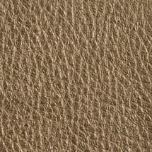 Metallic Leather ~ Antique Brass