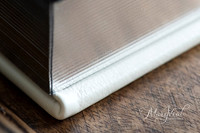 Silver Gilding