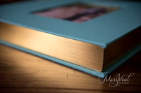 Gold Gilding