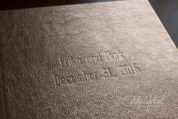 Blind Debossing on Metallic Leather
