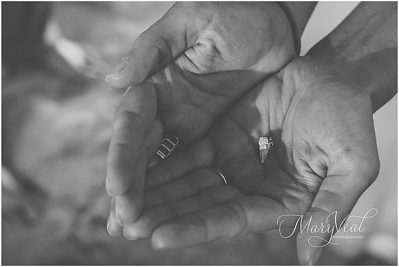 Bahia-Honda-Park-Engagement-Mary-Veal-Photography_0017
