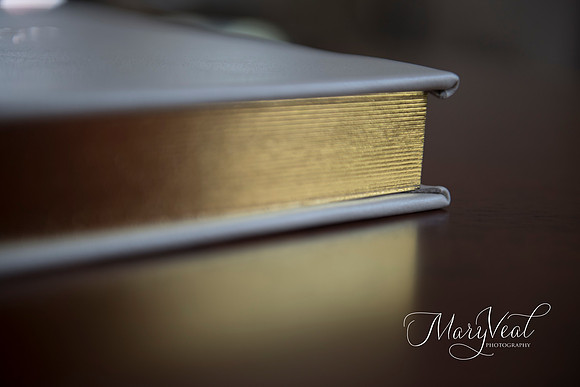 Wedding Photography Album for Alison and Kellen-2