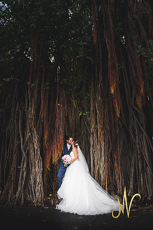 Lisa and Dan's Wedding-374