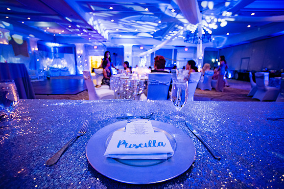 Priscilla Castro Quinceanera-23
