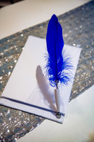 Priscilla Castro Quinceanera-2